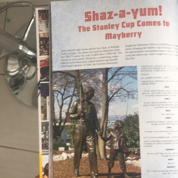 Stephen Cole Double Overtime The Hockey Fan's Ultimate Hockey Book - Picture 8 of 16